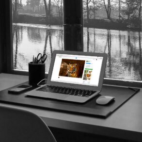 Security Issues in Computer Networks