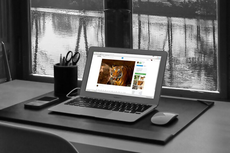 Security Issues in Computer Networks